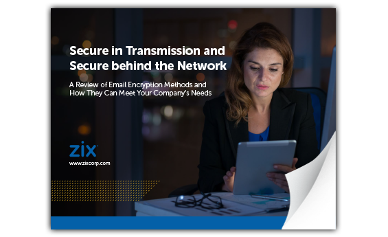 Secure in Transmission and Secure Behind the Network